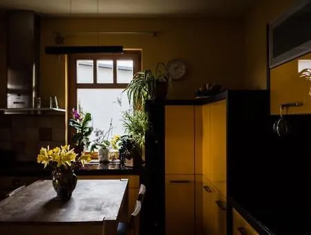 Schiller Holiday home